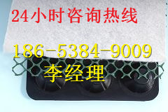 通辽市排水板市场分析 土工合成材料的潜力与应用
